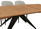 Ausziehbarer Tisch auf Metallgestell 100 x 200–300 cm Modell T56
