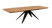 Ausziehbarer Tisch auf Metallgestell 100 x 200–300 cm Modell T56